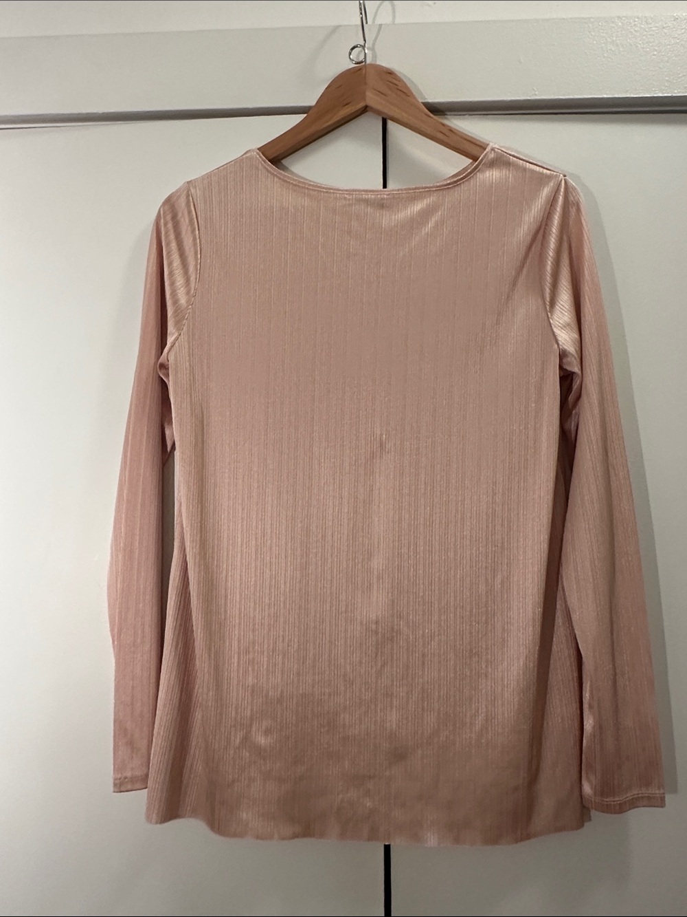 Zara Pink Medium Ribbed Long-Sleeve Crewneck Top in Blush Pink